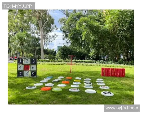 深圳飞盘队实力解析：探索这支新兴团队的成长与挑战